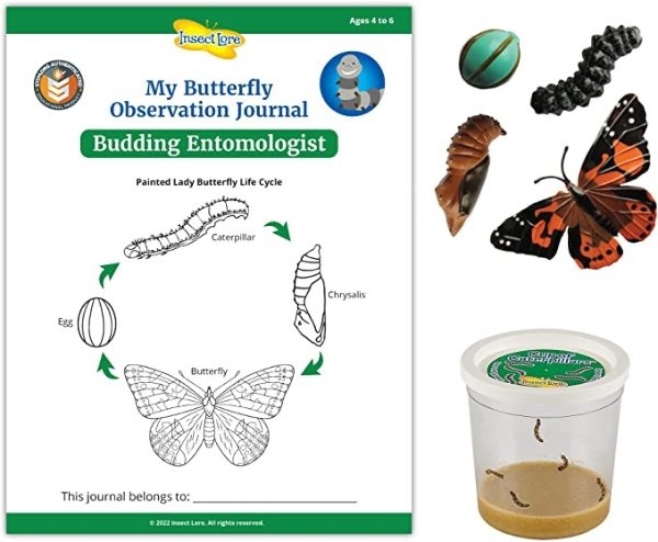 STEM Activity Journal with Cup of Caterpillars and Butterfly Life Cycle Stages