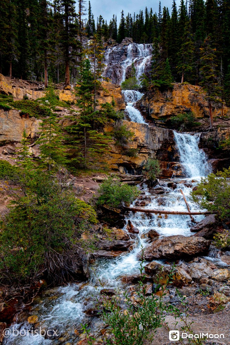 tangle_creek_2.jpg