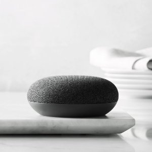 Google Home mini/Echo Dot + Smart plug