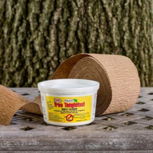 Tanglefoot Tree Care Kit - Tree Insect Barrier & Tangle-Guard Wrap Combo