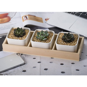 3 Pcs 3.54 Inch White Ceramic Square Succulent/Cactus Plant Pot with Decorative Window Wooden Plant Container Box Tray