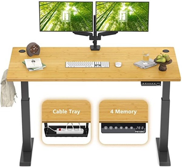 Height Adjustable Electric Standing Desk, 48 x 24 Inches Stand Up Desk Workstation, Full Sit Stand Home Office Table with Programmable Preset Controller, Black Frame/Bamboo Top