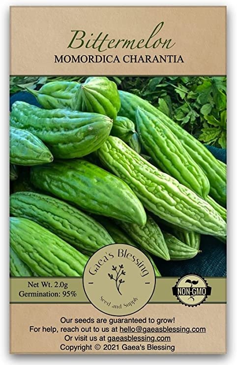 Gaea's Blessing Seeds - Bitter Melon Seeds - Bitter Gourd Heirloom Non-GMO Bittermelon Seeds with Easy to Follow Planting Instructions - 92% Germination Rate (Pack of 1)