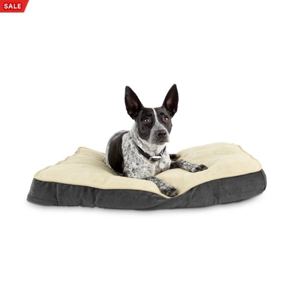 EveryYay Essentials Snooze Fest Grey Lounger Dog Bed, 33" L X 24" W | Petco