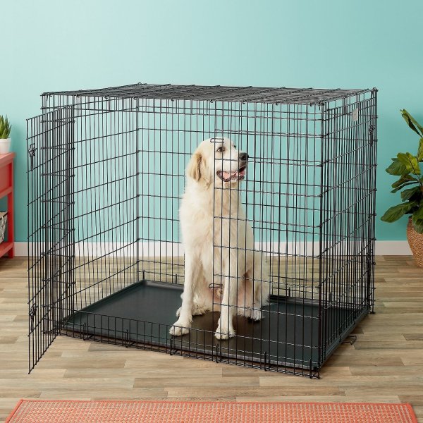 Solutions Series XX-Large Heavy Duty Double Door Collapsible Wire Dog Crate, 54-in - Chewy.com