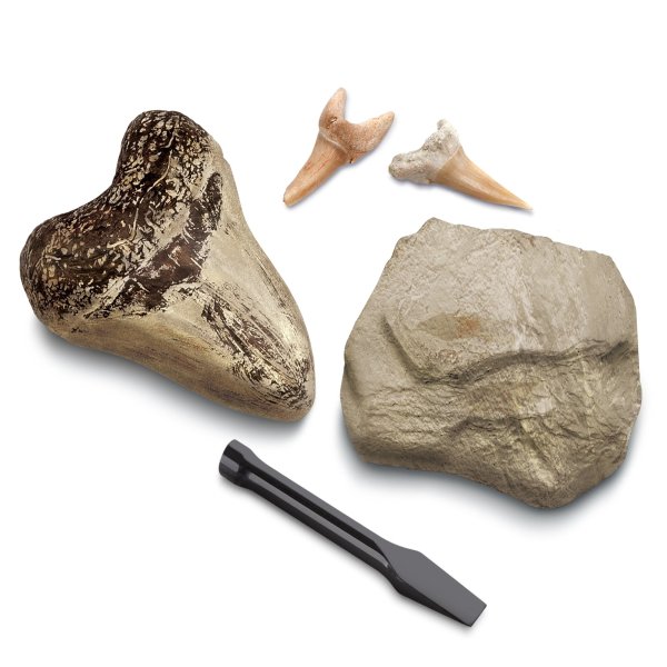 Discovery #MINDBLOWN Mini Fossil Dig Set, 2 Pack Real Shark Teeth Excavation Kit with Chisel, Interactive Archaeology Paleontology Experiment, Learn Science, Fun and Educational STEM Toy for Kids