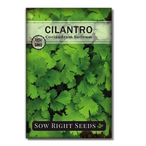 Sow Right Seeds - Cilantro Seed
