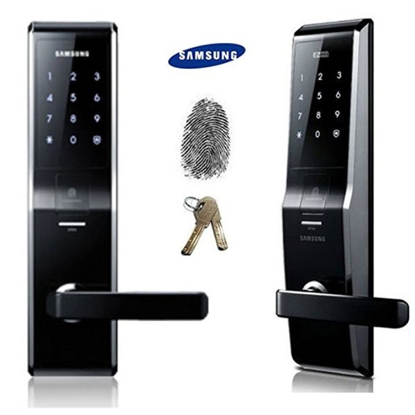 Fingerprint door lock