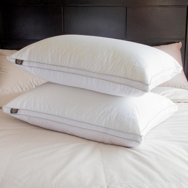 Hypoallergenic Goose Down Standard Pillow
