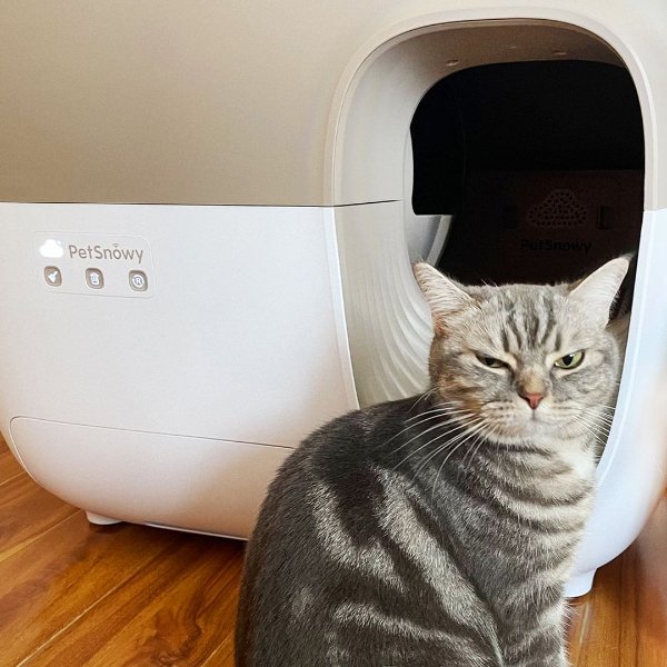 PetSnowy Snow+ Self Cleaning Automatic Cat Litter Box