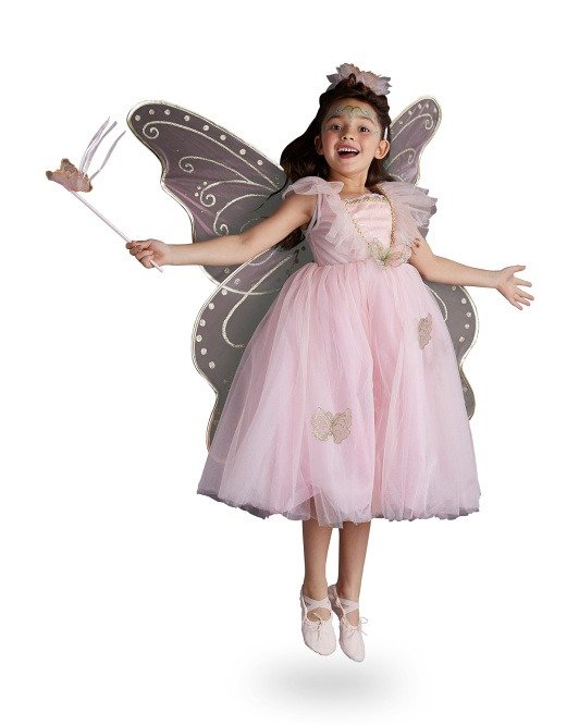 Deluxe Enchanted Fairy Costume