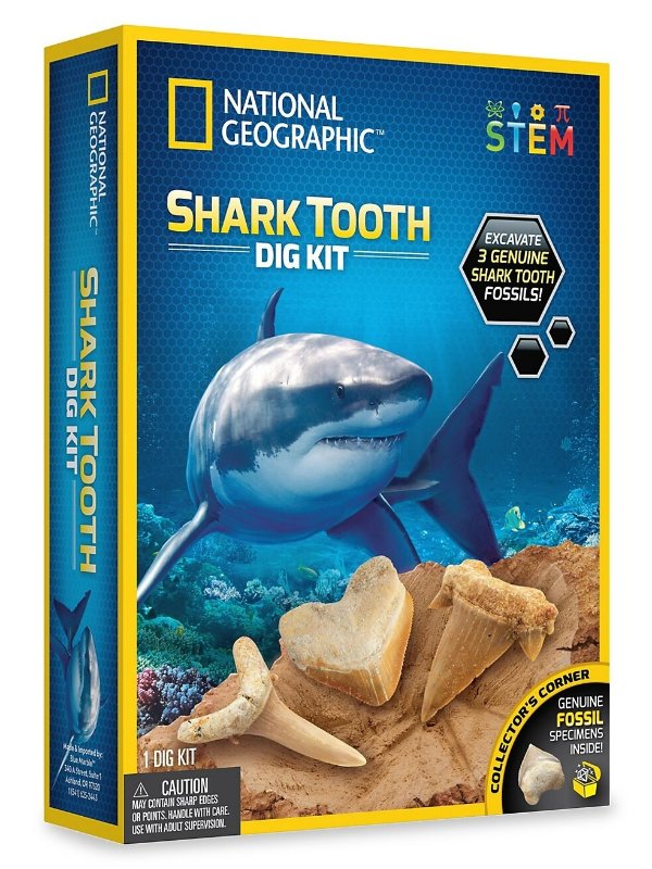 国家地理系列 鲨鱼牙齿挖掘套装
