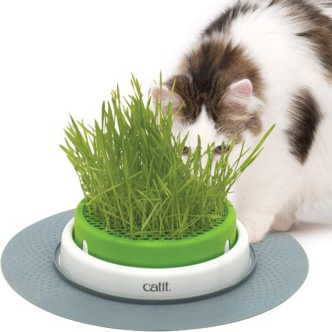 Senses 2.0 猫草种植盆 配硅胶垫防滑