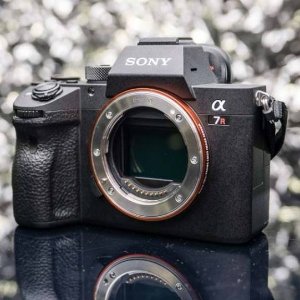 Sony Mirrorless Camera & Lenses Sale
