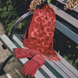 COACH Outlet Hats, Scarves & Gloves Up to 70% Off+25% Off - Dealmoon