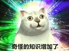 timg