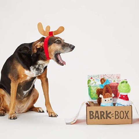 7+ Bark Box Grinch