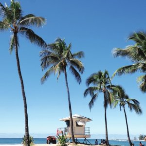 Southwest Vacations 夏威夷机票+酒店旅行套餐促销