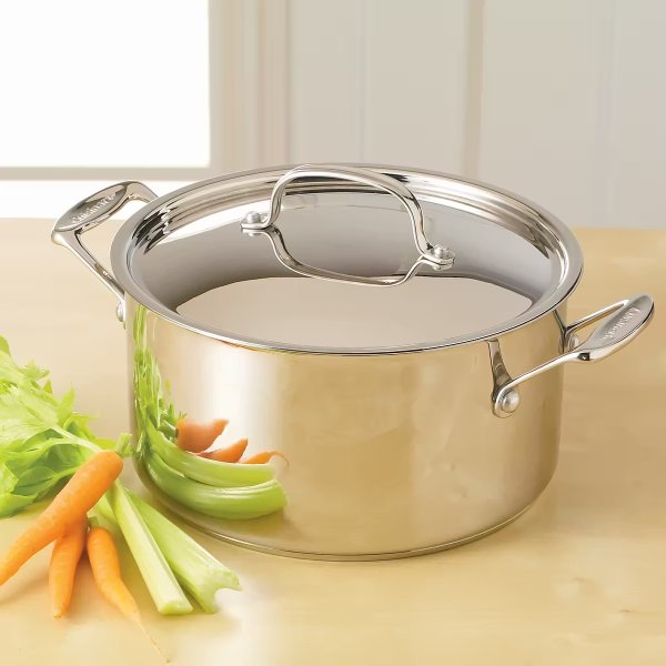 ® 6-qt. Stainless Steel Stock Pot