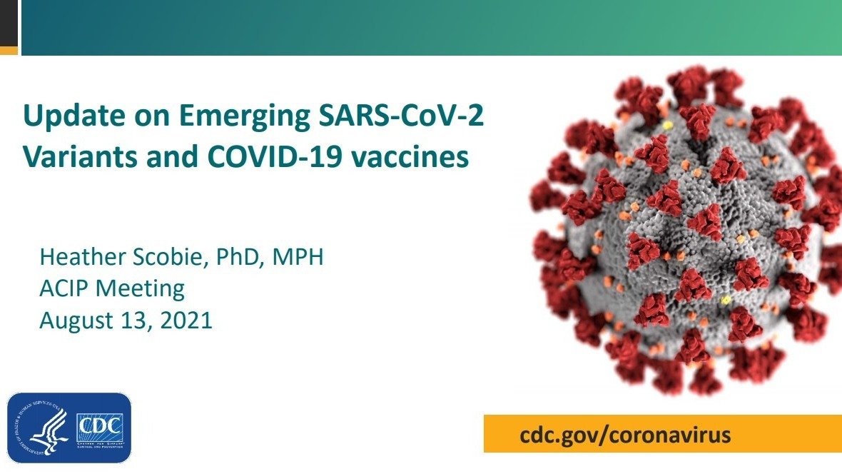 美国新冠病毒变种、新冠疫苗有效性 8月最新数据汇总