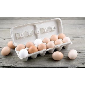 Highest Grade Organic Chicken Eggs Sale @ GrubMarket