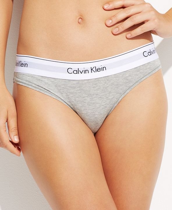 Women's Modern Cotton Bikini Underwear F3787