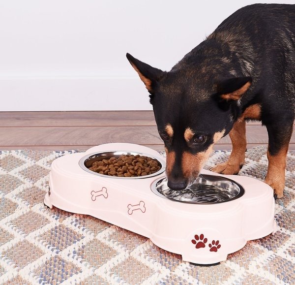 Dolce Double Diner Non-Skid Elevated Dog & Cat Bowls