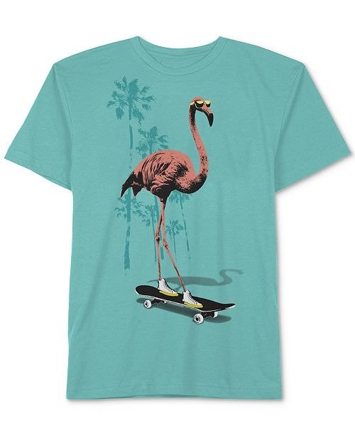 Big Boys Flamingo Skate T-Shirt