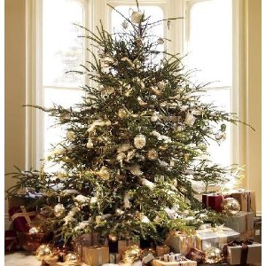 从零开始，小编手把手教你购买和装饰圣诞树
