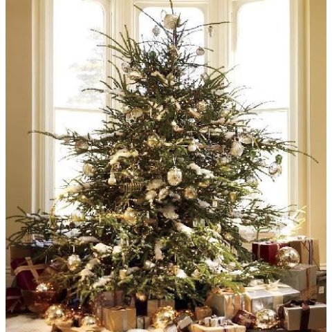 没有圣诞树的Christmas是不完美的从零开始，小编手把手教你购买和装饰圣诞树