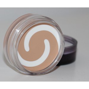 COVERGIRL & Olay Simply Ageless Foundation, Classic Ivory 210, 0.4 Oz