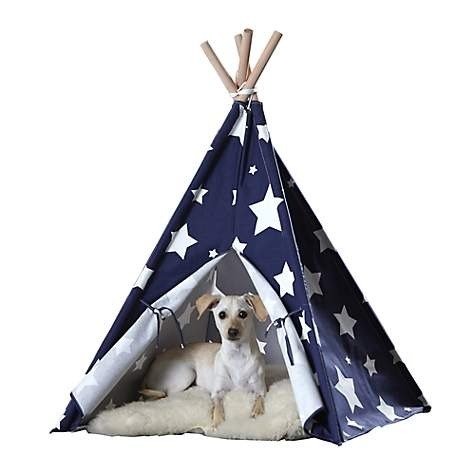 Pet Teepee Blue with White Stars