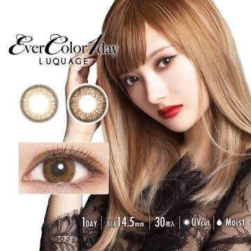 [Contact lenses] EverColor 1day Luquage [30 lenses / 1Box] / Daily Disposal Colored Contact Lenses