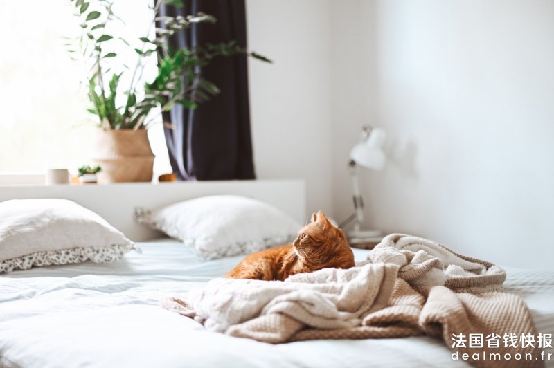 gaelle-marcel-awYrEHKWEk4-unsplash