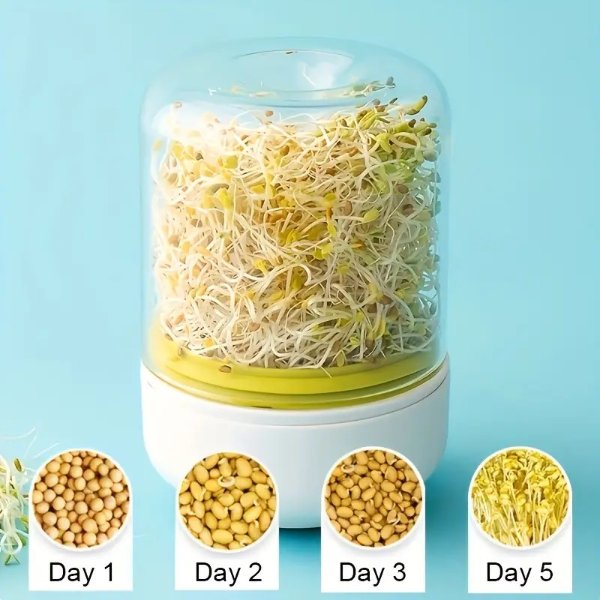 1pc, Countertop Sprouting Machine Growing Kit Homemade Fresh Bean Sprouts Bean Sprouts Making Countertop Bean Sprouts Kitchen Gadget Practical