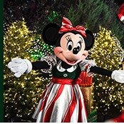 奥兰多 Mickey's 圣诞派对票
