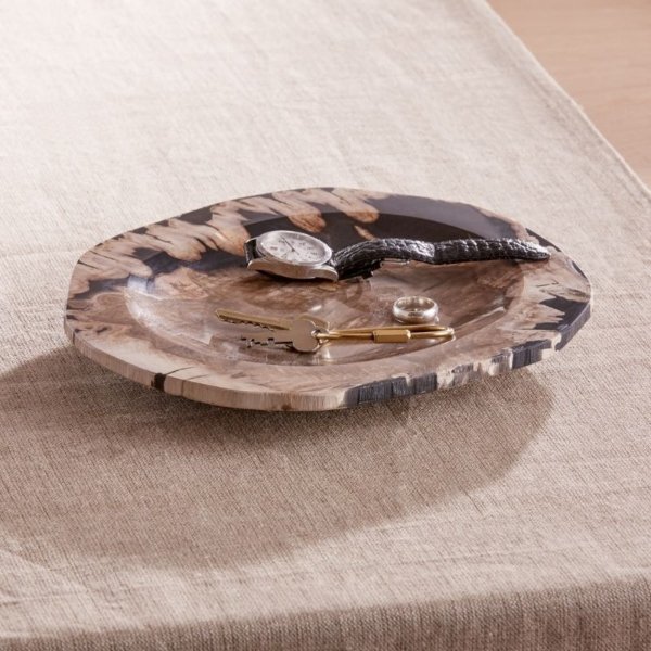 Petrified Wood Catch-All Tray + Reviews | Crate & Barrel