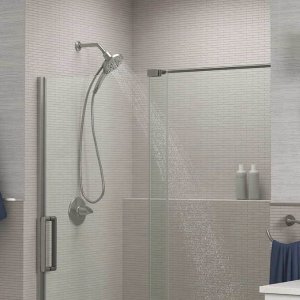 KohlerProsecco Multifunction Handheld Shower