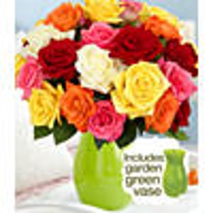 24 Rainbow Mother's Day Roses with FREE Green Vase