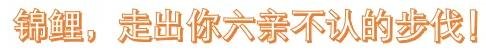 8d5cab9134bda495855aec32ad75070.png
