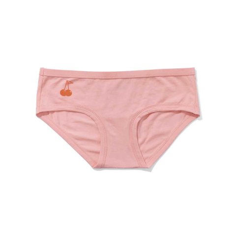 aerie underwear sale 10 for $35
