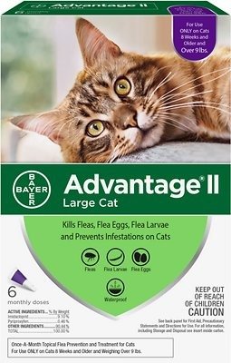 Flea Treatment for Large Cats Over 9 lbs, 6 treatments - Chewy.com