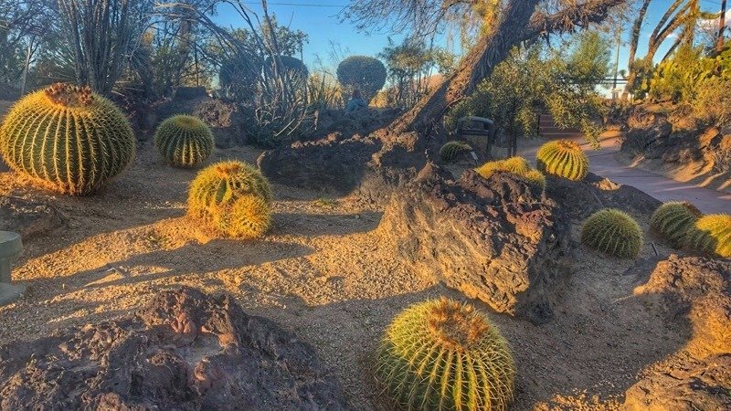 旅行地 | 仙人掌🌵公园⛲️和巧克力🍫工厂🏭