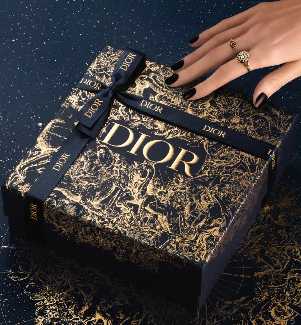 Rouge Dior Minaudiere - Limited Edition Clutch and lipstick holder - lipstick collection