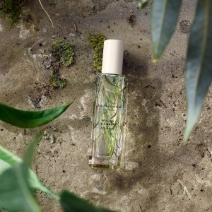 Jo Malone 柳木&琥珀古龙水