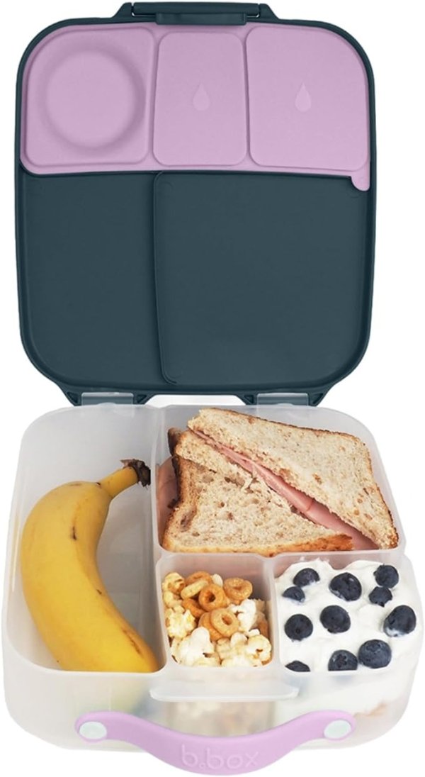 Lunch Box for Kids | Bento Box | 4 Compartments (2 Leak proof) | Gel cold pack, BPA Free | Kids 3-7 years (Indigo Rose)