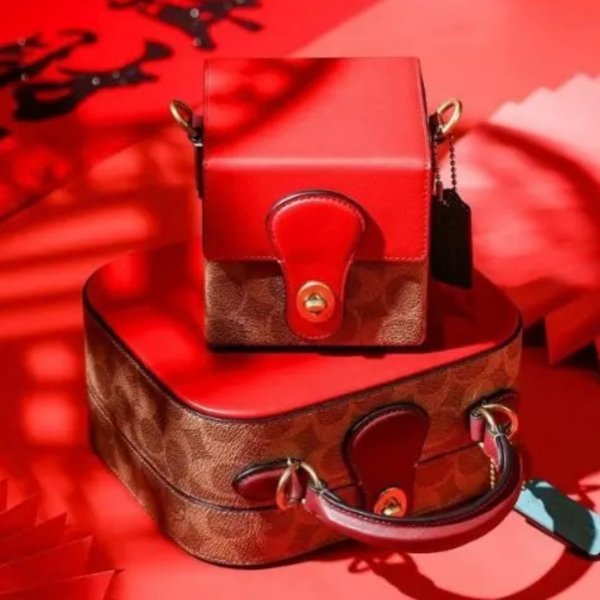 Lunar New Year Square Bag In Signature Canvas