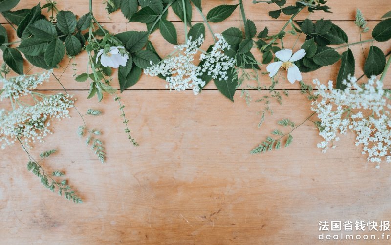 annie-spratt-OWq8w3BYMFY-unsplash