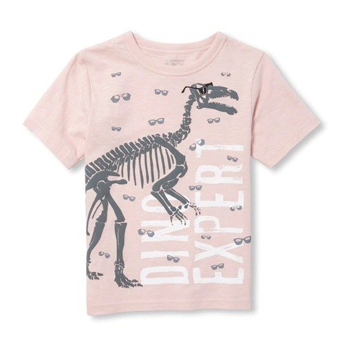 Baby And Toddler Boys Short Sleeve Puff Print 'Dino Expert' Graphic Top