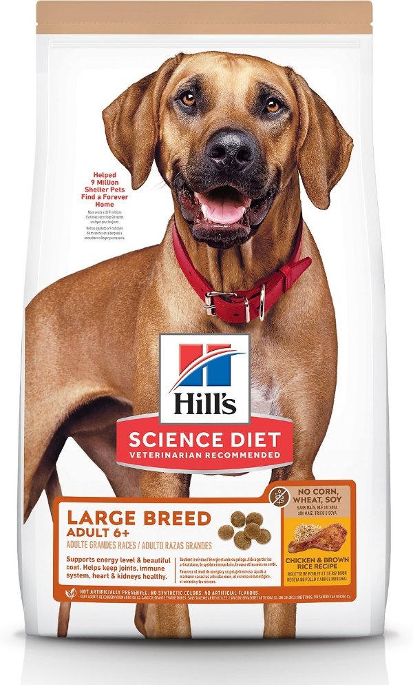 Adult 6+ Large Breed Chicken & Brown Rice Recipe Dry Dog Food, 30-lb bag - Chewy.com
